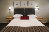 king-size bed in executive suites